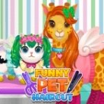 Игра Смешные Стрижки Для Домашних Животных